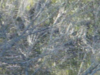 20100206 543.JPG
